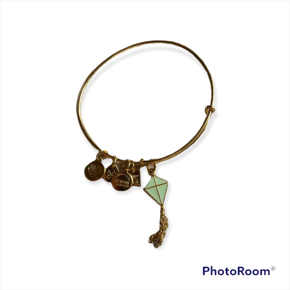 Alex and Ani Kite Bracelet